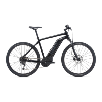 Preview: Giant E-bike