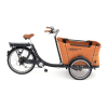 Bicycle Logo