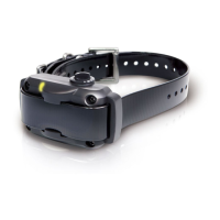 Preview: Dogtra YS 600