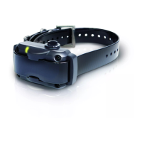 Preview: Dogtra YS 600