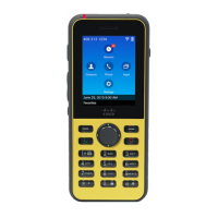 Preview: Cisco 8821