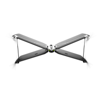 Preview: Parrot Swing