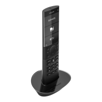 Preview: Savant REMOTE