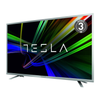 Preview: Tesla 6 SERIES