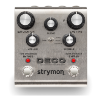 Preview: Strymon Mini
