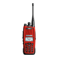 Preview: Tait TP9300
