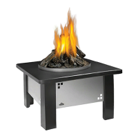 Preview: Napoleon Patioflame