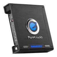 Preview: Planet Audio AC1000.2