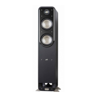 Preview: Polk Audio S60