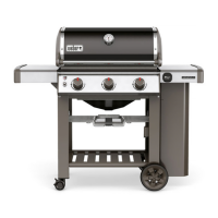 Preview: Weber genesis II E-210 GBS