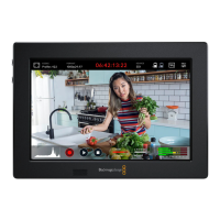 Preview: Blackmagicdesign Video Assist