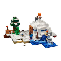 Preview: LEGO 21120