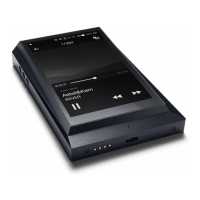 Preview: Astell & Kern AK300