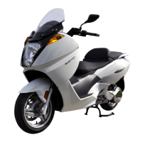 Preview: Vectrix VX-1