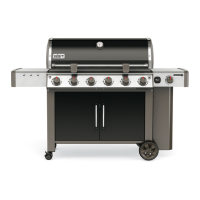 Preview: Weber GENESIS II LX