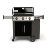Preview: Weber GENESIS II