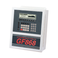 Preview: Panametrics GF868
