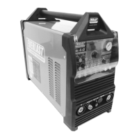 Preview: Everlast POWERPRO 256SI