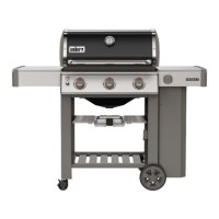 Preview: Weber Spirit E-210 GBS