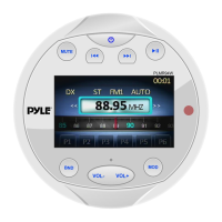 Preview: Pyle PLMR94W