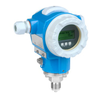 Preview: Endress+Hauser cerabar S