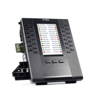 Preview: Mitel M695