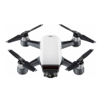 Preview: dji SPARK