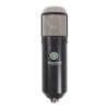 Microphone system Logo