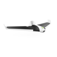 Preview: Parrot Disco