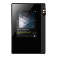 Preview: Onkyo DP-S1