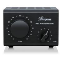 Preview: Bugera PS1