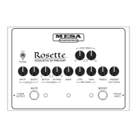 Preview: Mesa Rosette