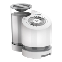 Preview: Vornado EV100