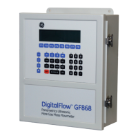 Preview: GE DigitalFlow GF868