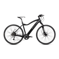 Preview: BH emotion evo