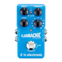 Preview: TC Electronic Flashback 2
