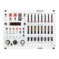 Preview: Intellijel Metropolis