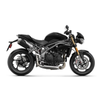 Preview: Triumph Speed Triple S