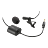 Microphone Logo
