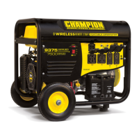 Preview: Champion 9375