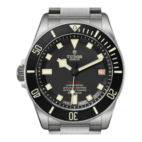 Preview: TUDOR PELAGOS