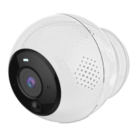 Preview: Motorola ORBIT