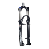 Preview: Rock Shox 30