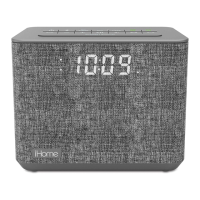 Preview: iHome iBT232