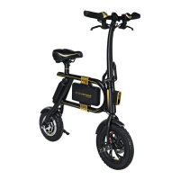 Preview: SWAGTRON SwagCycle
