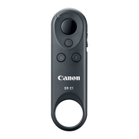 Preview: Canon BR-E1