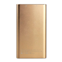 Preview: Icemoon Hidden Camera Power Bank