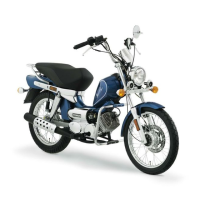 Preview: Tomos REVIVAL