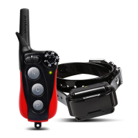 Preview: Dogtra iQ plus