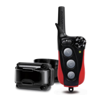 Preview: Dogtra iQ plus